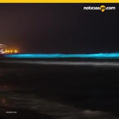 Playa Flourescente de San Diego