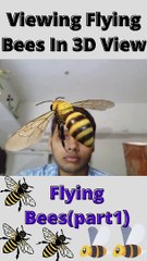 Viewing Flying Bees (Part2) In 3D View