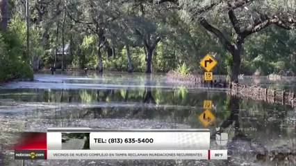 Vecinos de nuevo complejo en Tampa reclaman inundaciones recurrentes