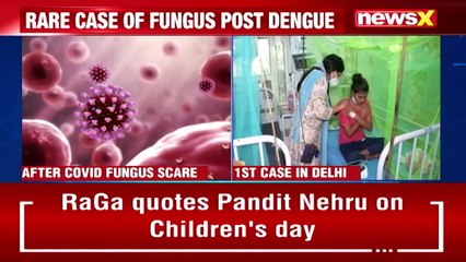 Post Dengue Fungus Scare Looms 9 Deaths Reported So Far NewsX(1)