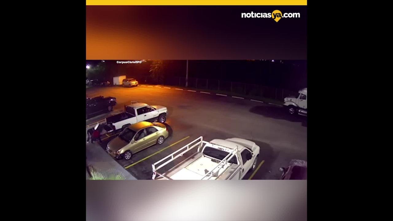 WEB CC ATM THIEVES
