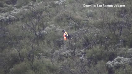 Single-engine plane crashes into hillside of Mount Diablo overnight - Story  KTVU - httpwww.ktvu.comnewsmt-diablo-small-plane-crashed-overnight-crews-responding (1)