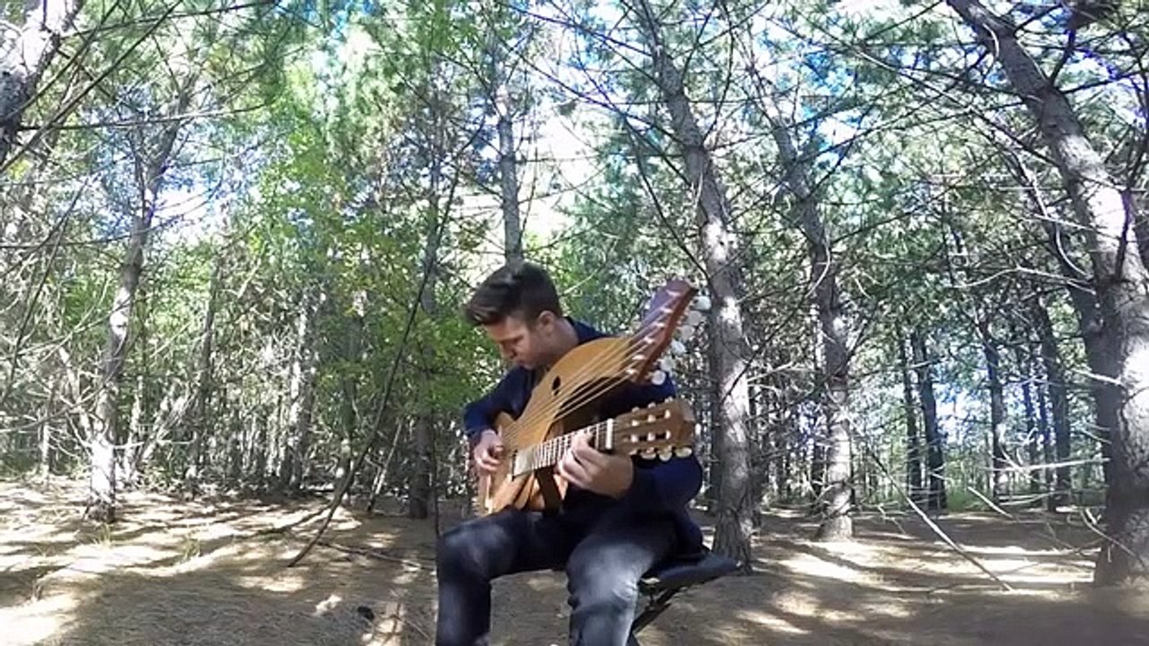 18 St gitar harp instrument