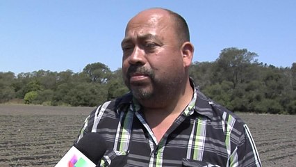 LACK OF AG. WORKERS