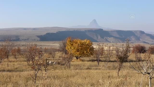 Aras Dağları'nda sonbahar ve kış bir arada yaşanıyor