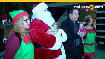 Encienden Arbol Navideno