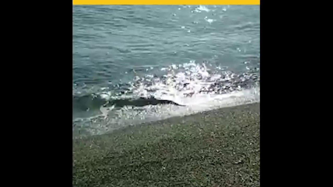 Hombre salva a su amigo de ahogarse y termina perdiendo la vida