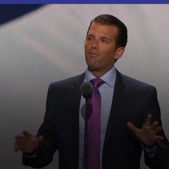 Hijo de Trump se reunió con abogada rusa durante campaña