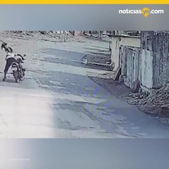 Monos atacan a residentes de una comunidad en India