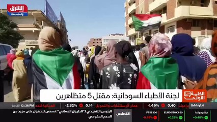 ...وارد مالية لبناء ثمانية زوارق حاملة للصو...