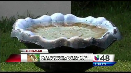 No se reportan casos del Virus del Nilo