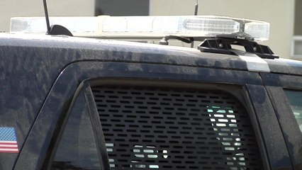 CIUDAD SALINAS REPORTE