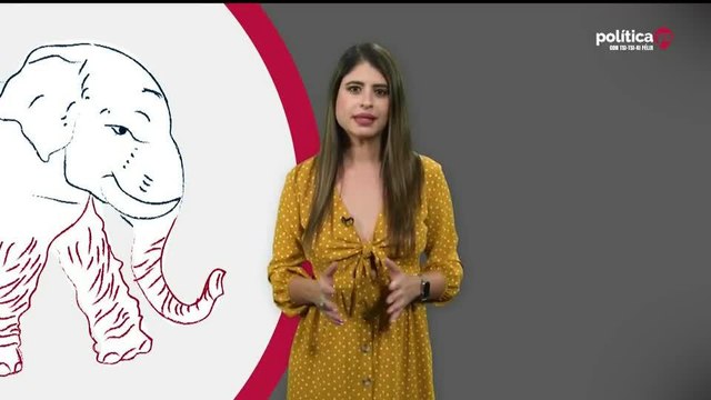 Votación temprana: ¿cómo se lleva a cabo?