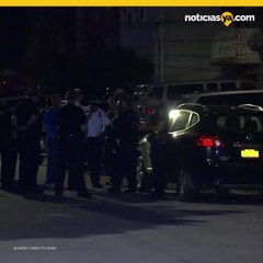 Apuala a 5 en guardera, 3 bebs, y luego intenta suicidarse