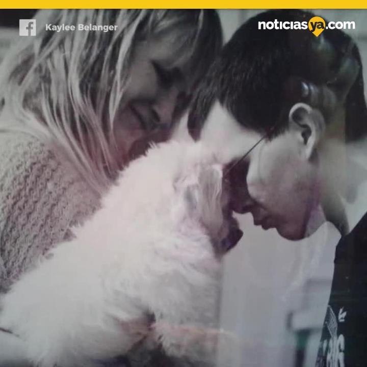 Enterró vivo al perro