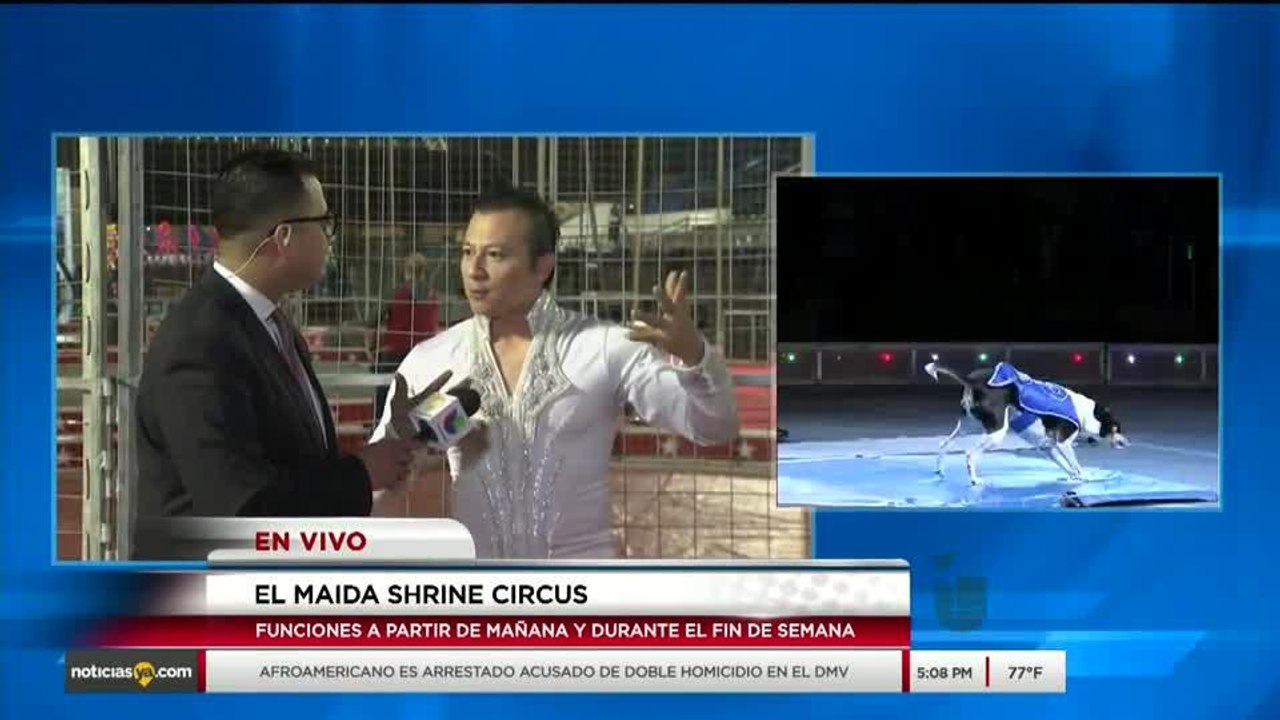 Circo