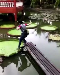 If you watched this video you will be laughing 