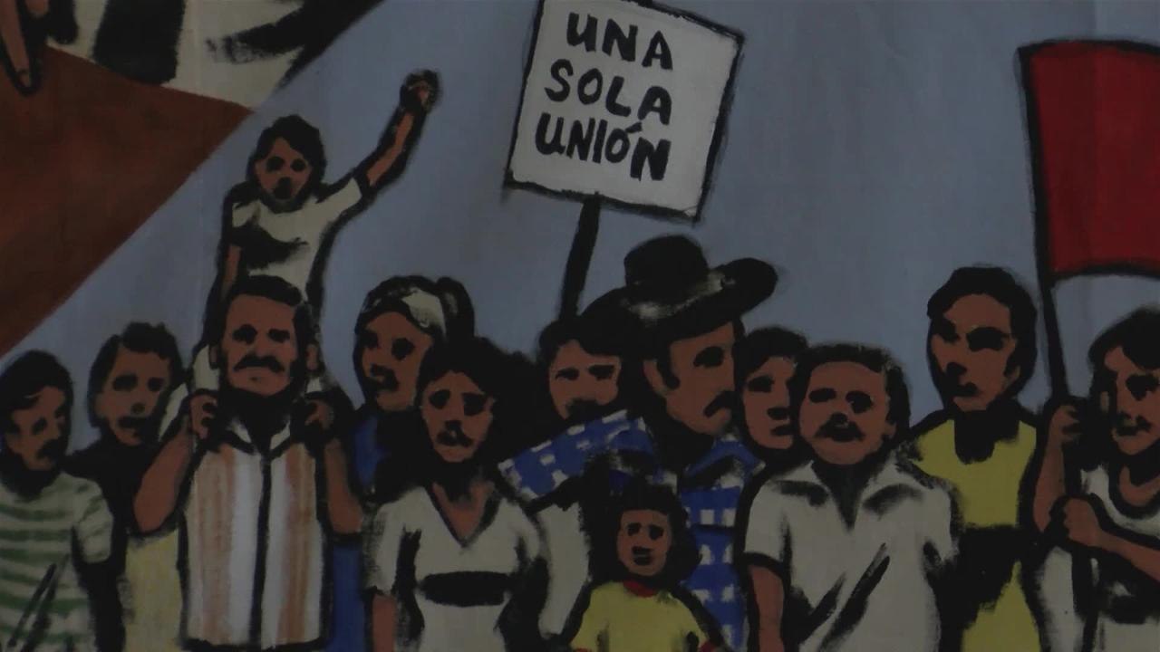 Derecho a la salud LUPE