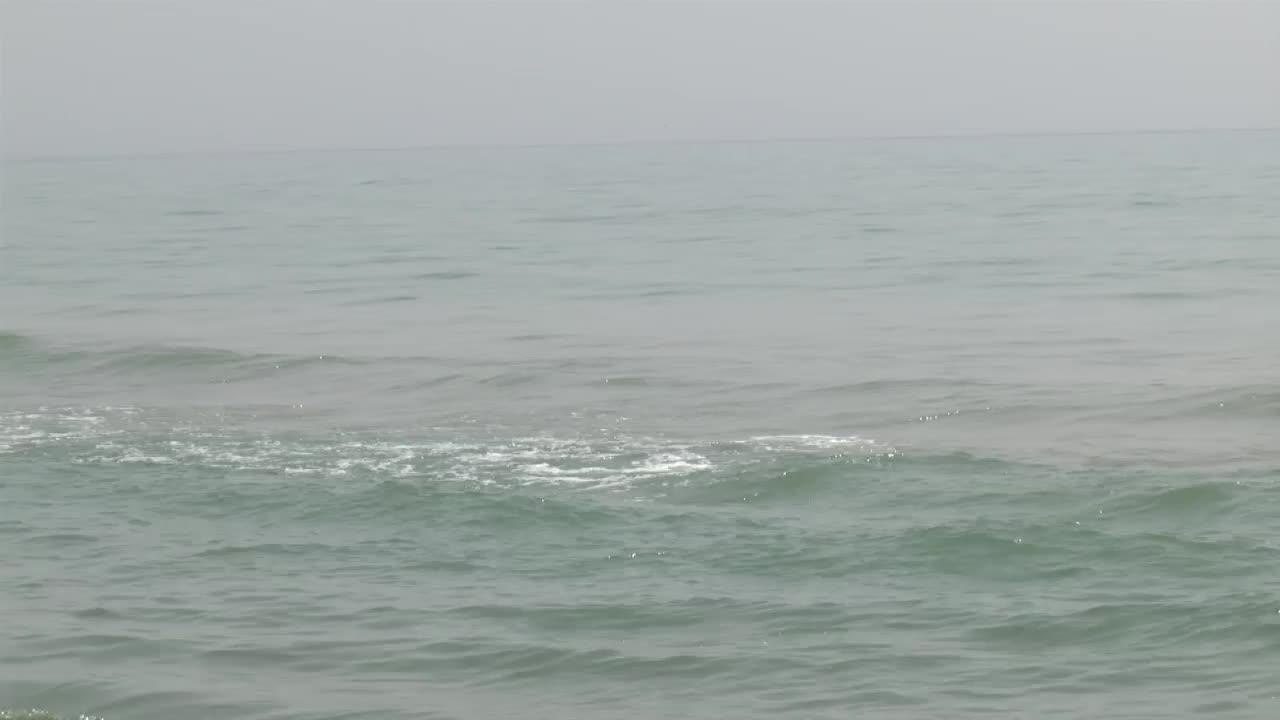 Cadaver en Isla del Padre