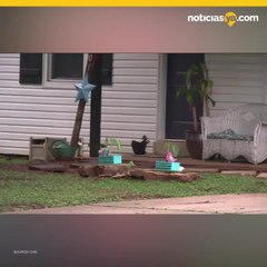 Madre adoptiva mantuvo a cuatro nios en cajas de madera por semanas