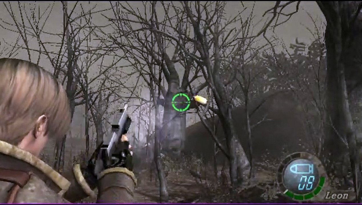 Resident Evil 4 : Wii Edition online multiplayer - wii