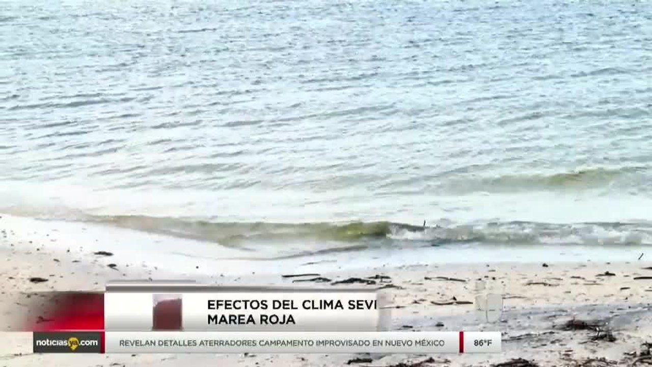 Tormenta Gordon puede ser tanto favorable como no para marea roja