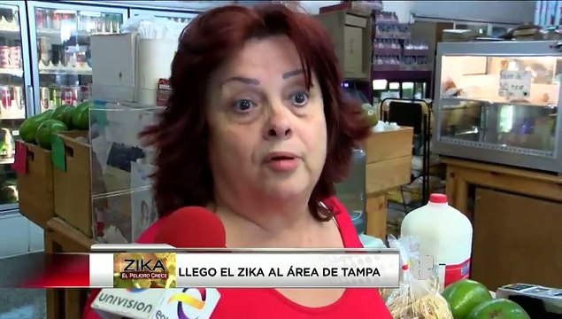 VIDEO: Primer caso de zika en Condado Pinellas