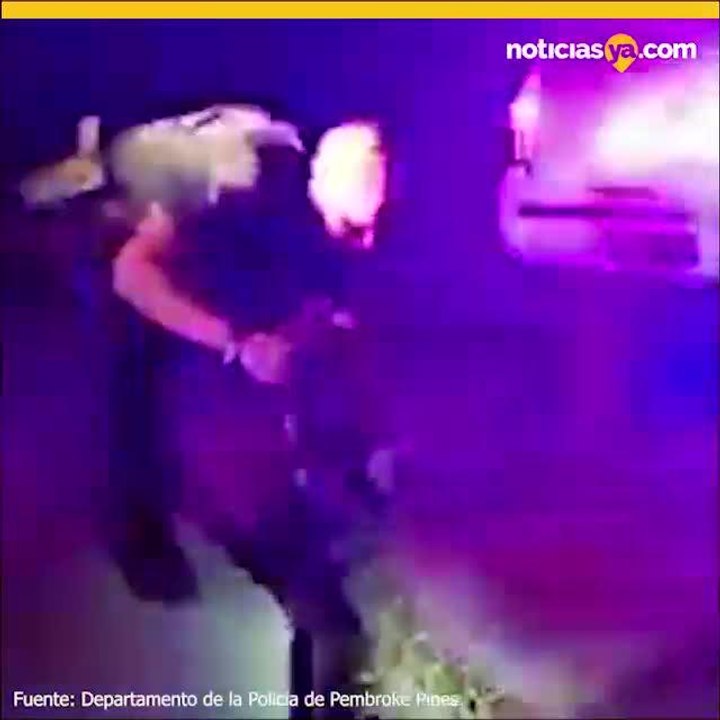 Oficiales de Florida capturan una culebra pit%c3%b3n en la carretera