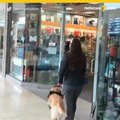 Perro guía lleva a su ama a tienda de mascotas