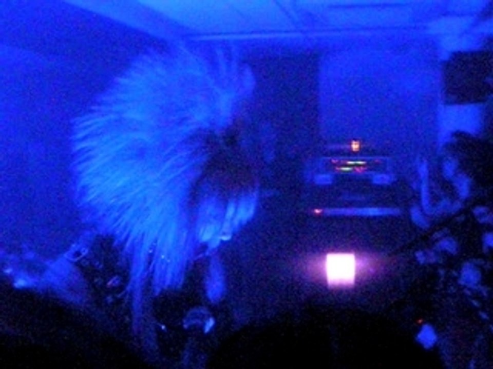 Dio - Concert Strasbourg - Kei Death Voice 2