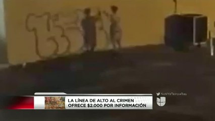 Vándalos pintan grafitis en varias tiendas del Condado Polk