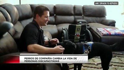 perros de compania hacen la diferencia