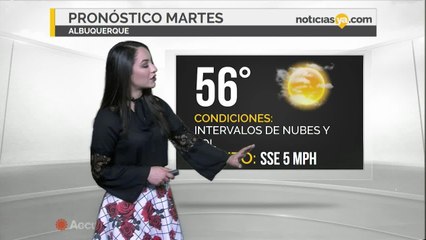 NM 01-30 WEATHER BREVE