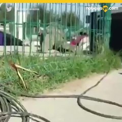 Balacera en evento de alcalde en Nuevo Laredo