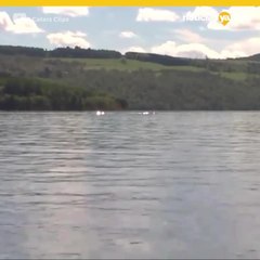 Nia capta en video a misteriosa criatura en el Lago Ness