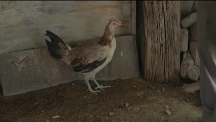 Don Manuel Ciudad Juárez 121