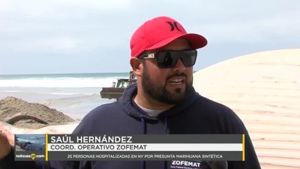 Ballena varada en Playas de Rosarito