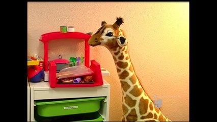 VIDEO: Agencias de la costa central dan consejos a víctimas de pornografÍa