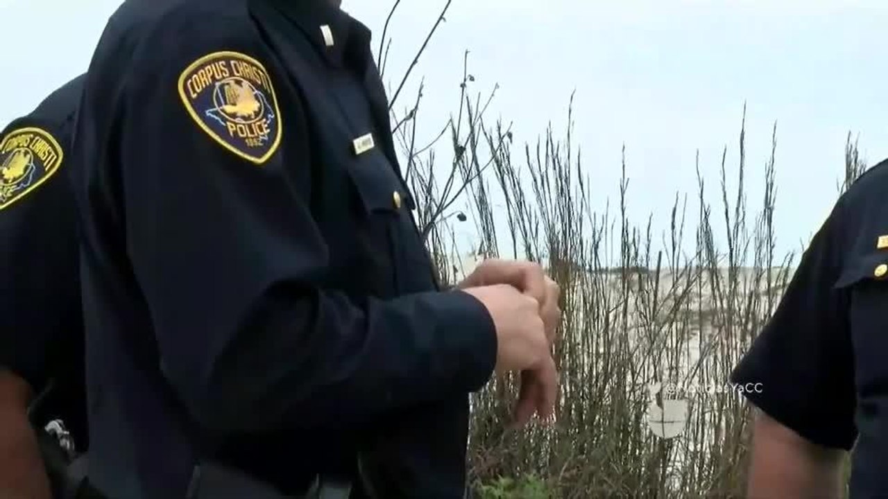 Noticias Corpus Christi 5pm 032018 - Corpus Christi y la SB4