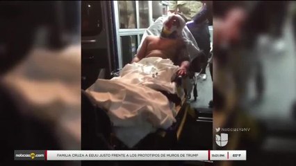 Noticias Nevada 11pm 031418 - NINO MORDIDO POR PERROS PITBULL
