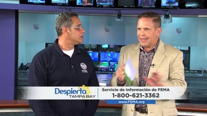 En temporada de huracanes puede encontrar toda la información en una sola aplicación