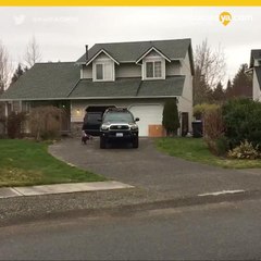 Mueren 2 bebés y sus padres en homicidio-suicidio