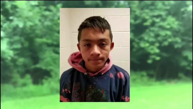 captura de pandilleros en el DMV