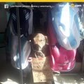 Perrito rescatado vende ropa a otras mascotas para sus quimioterapias