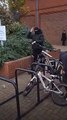 Deux hommes volent des vélos en pleine rue passante (Londres)