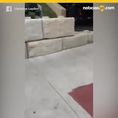 VIDEO: Su hijo murió mientras ella era arrestada afuera del hospital