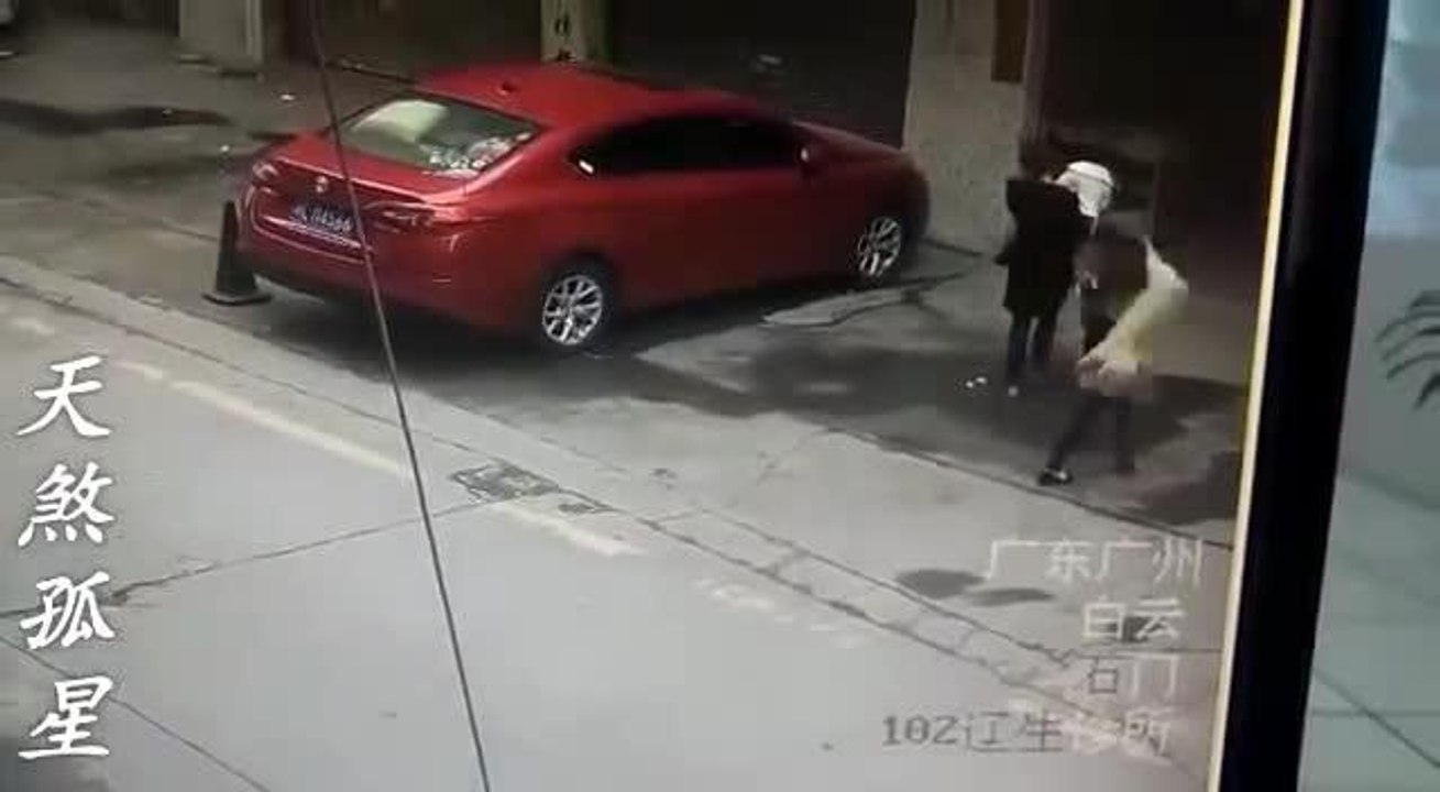 Gato en la cabeza