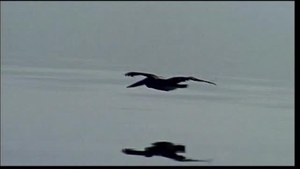 NO SOUND-SCENIC SHORT SHOTS