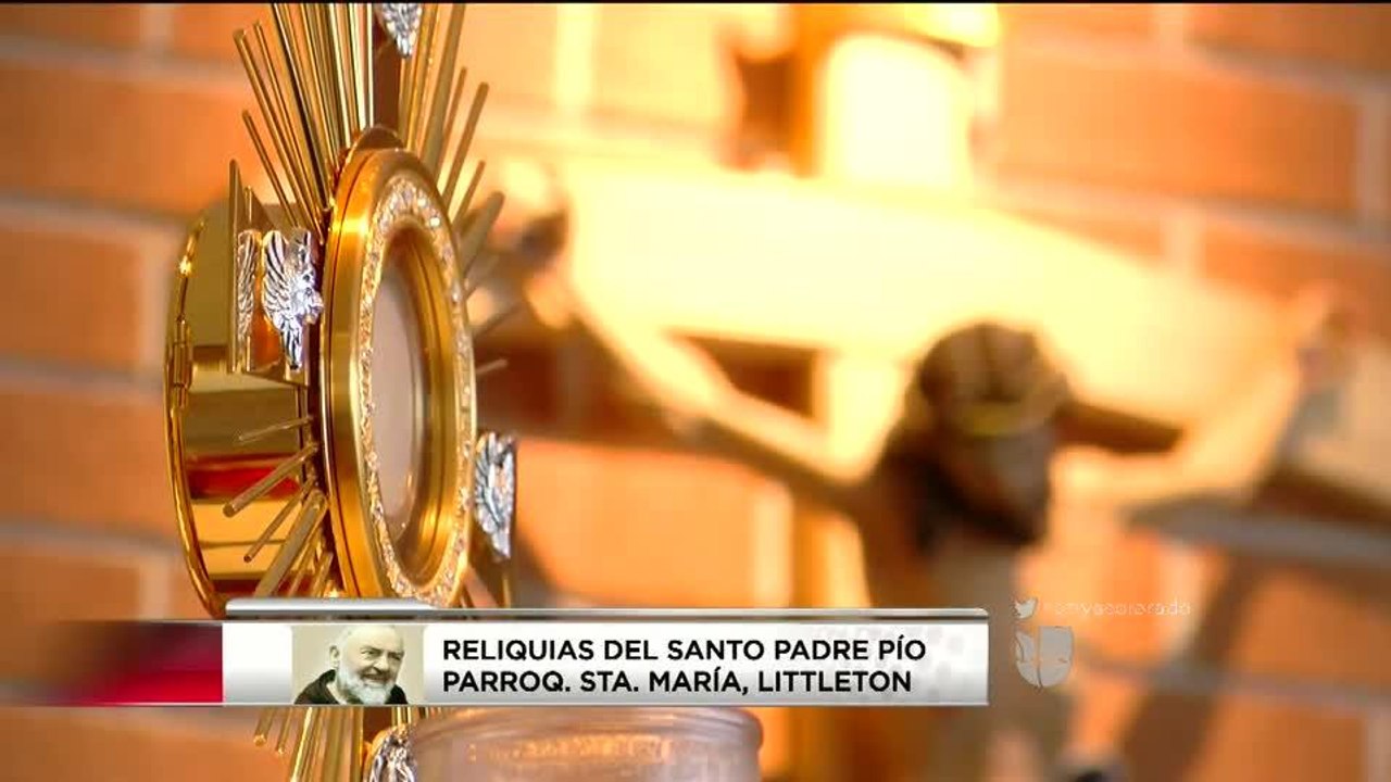 Priscilla PKG PADRE PIO
