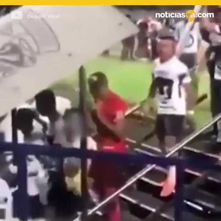 Jugador insulta a aficionados